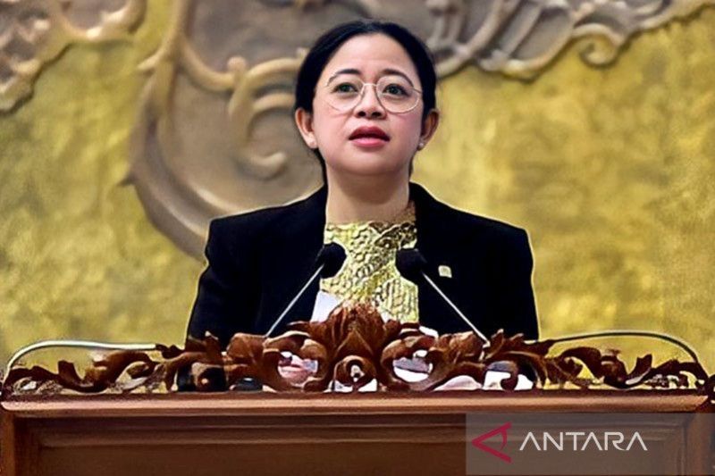 Pengamat Kinerja Puan Maharani Sudah Teruji